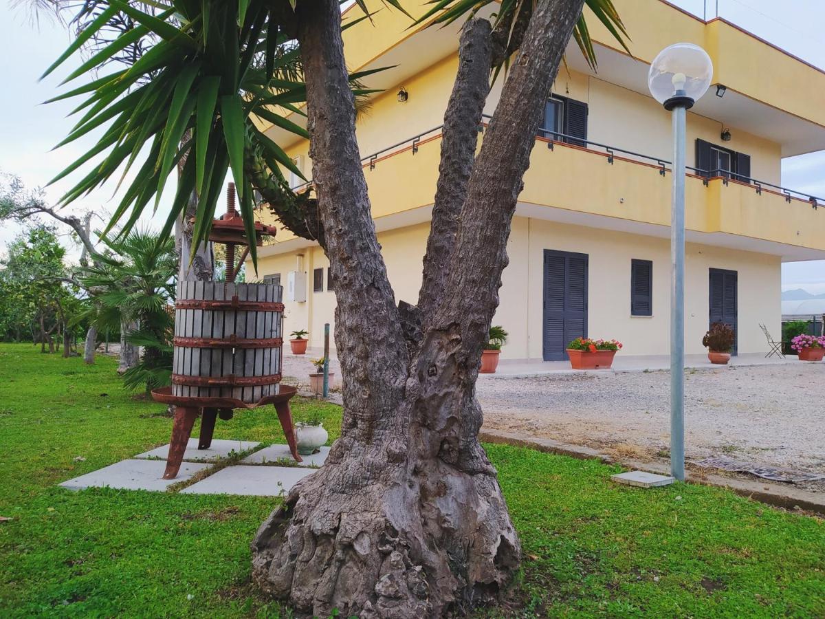 Casa Vacanze Paradise Santa Maria La Carità エクステリア 写真