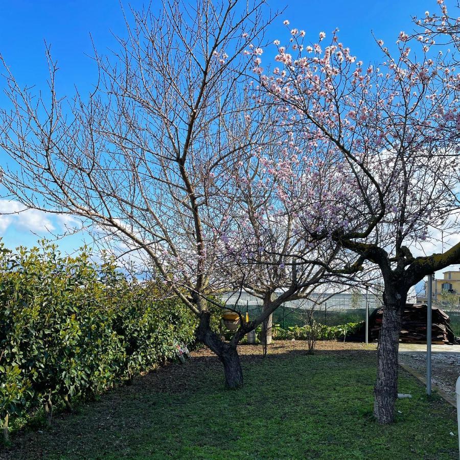 Casa Vacanze Paradise Santa Maria La Carità エクステリア 写真