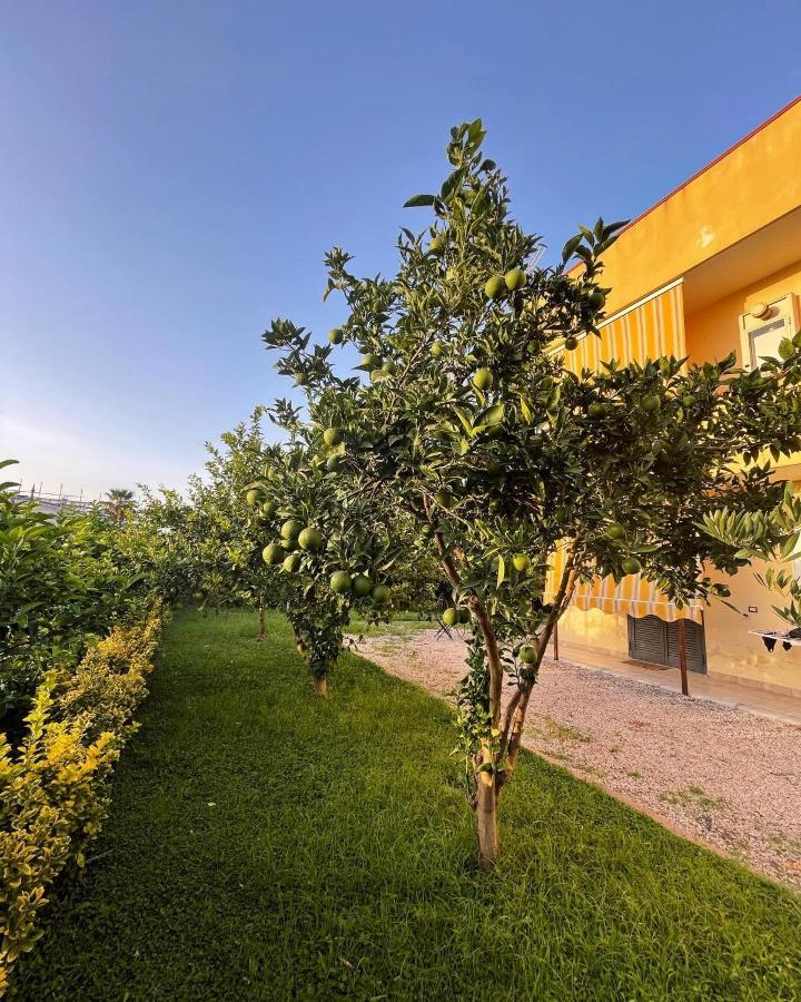 Casa Vacanze Paradise Santa Maria La Carità エクステリア 写真