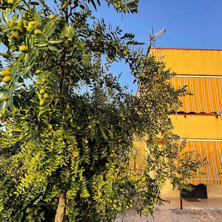 Casa Vacanze Paradise Santa Maria La Carità エクステリア 写真