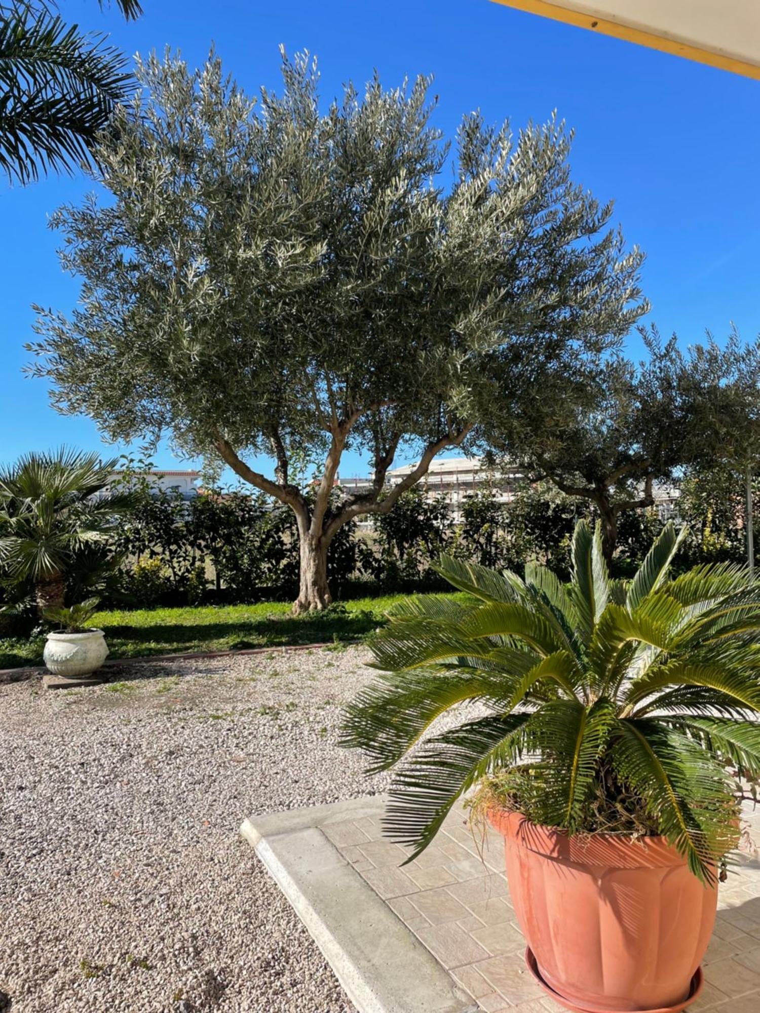Casa Vacanze Paradise Santa Maria La Carità エクステリア 写真