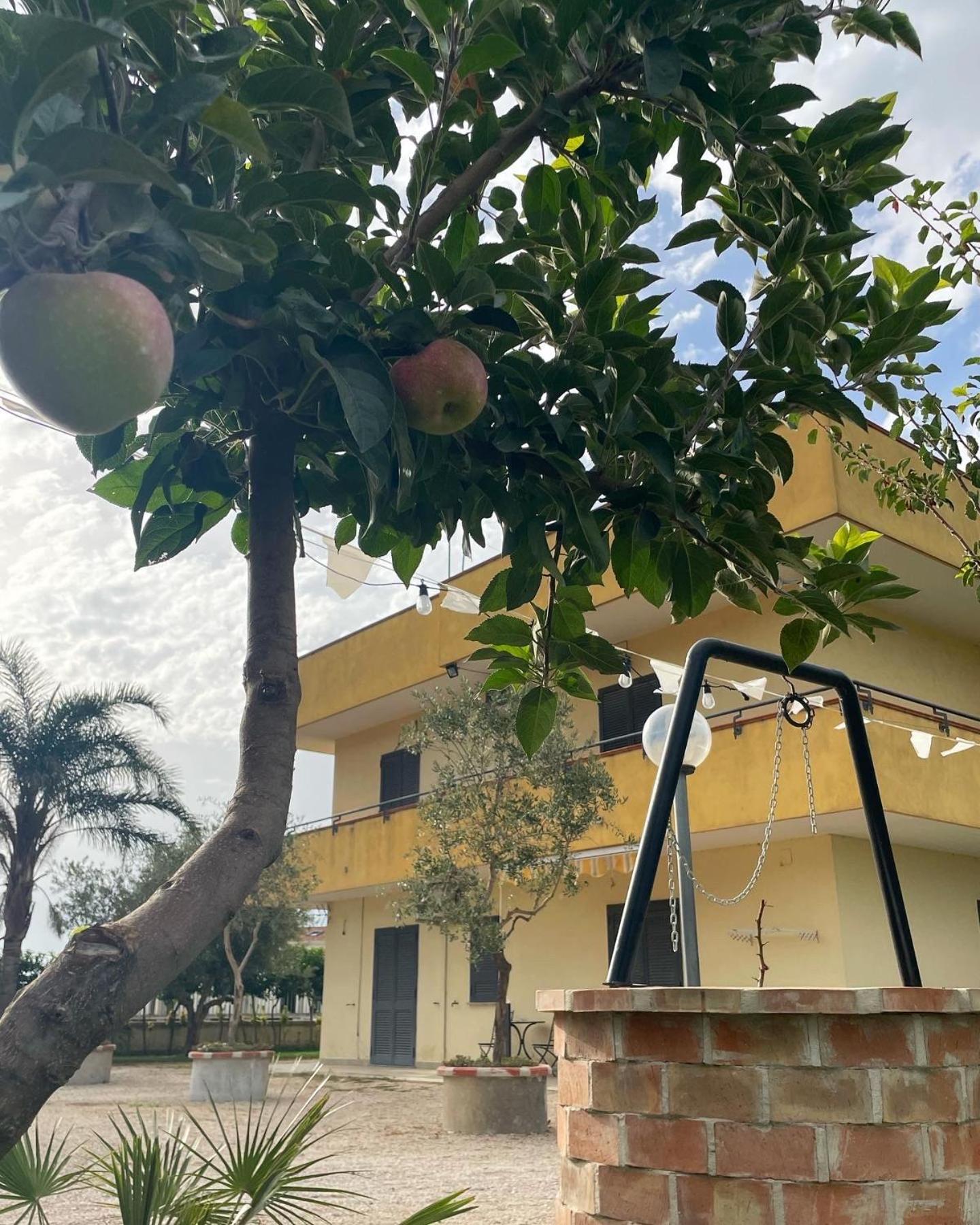 Casa Vacanze Paradise Santa Maria La Carità エクステリア 写真